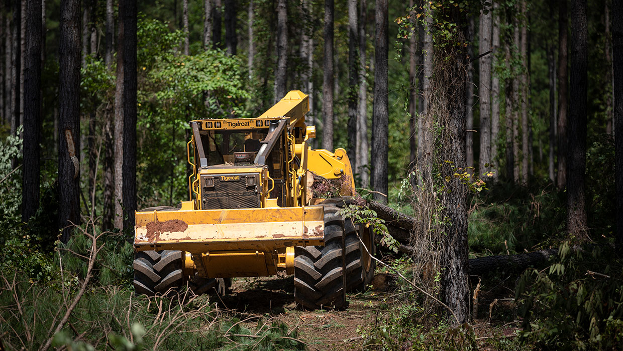 Tigercat 620H skidder working in the field
