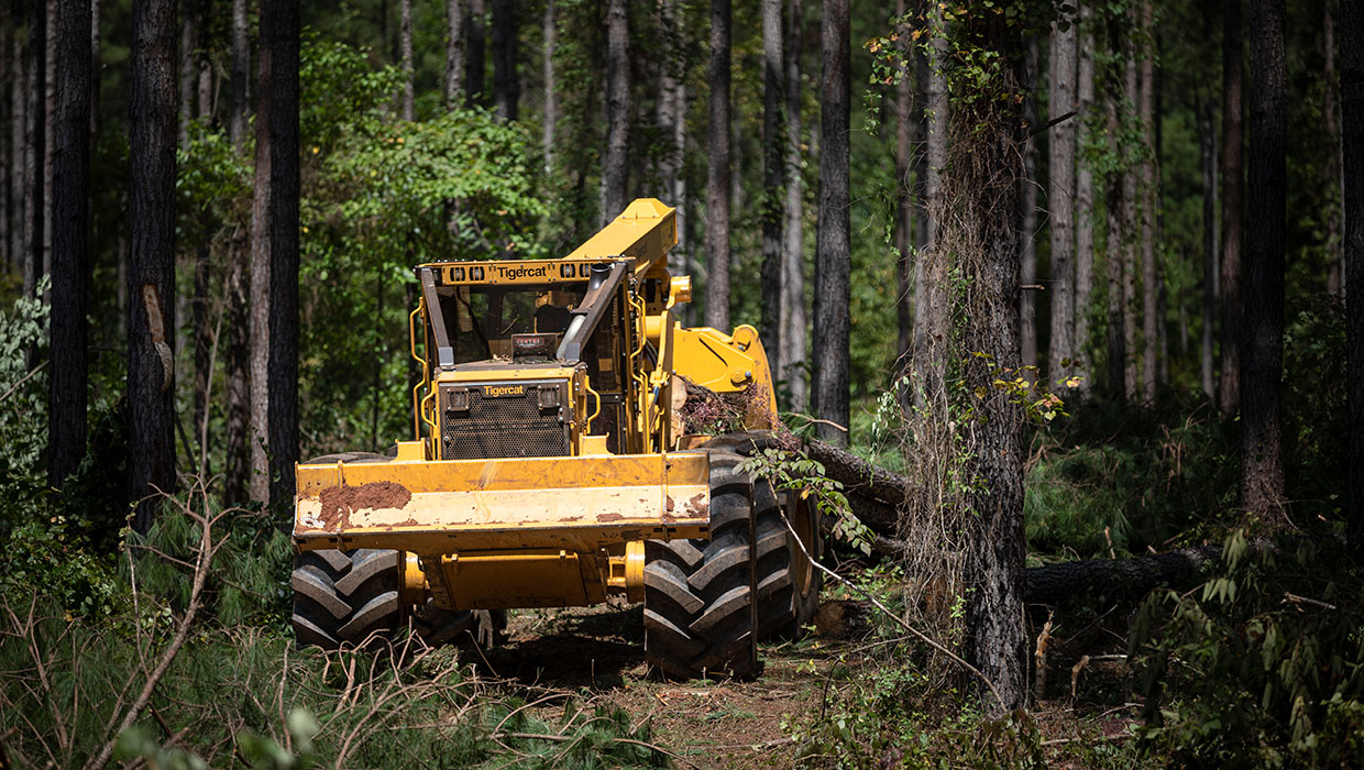 Image of a Tigercat 620H skidder working in the field