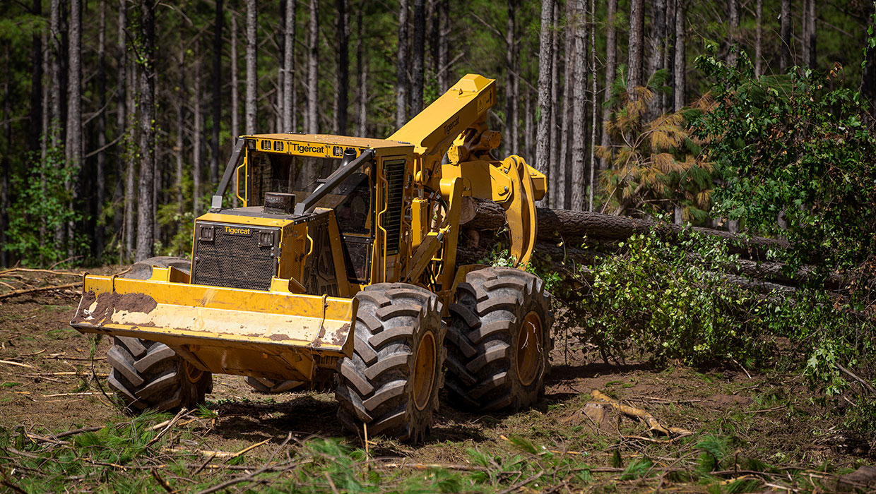 Tigercat 620H skidder working in the field