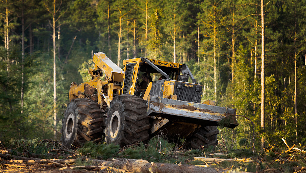 Image of a Tigercat 630H skidder working in the field