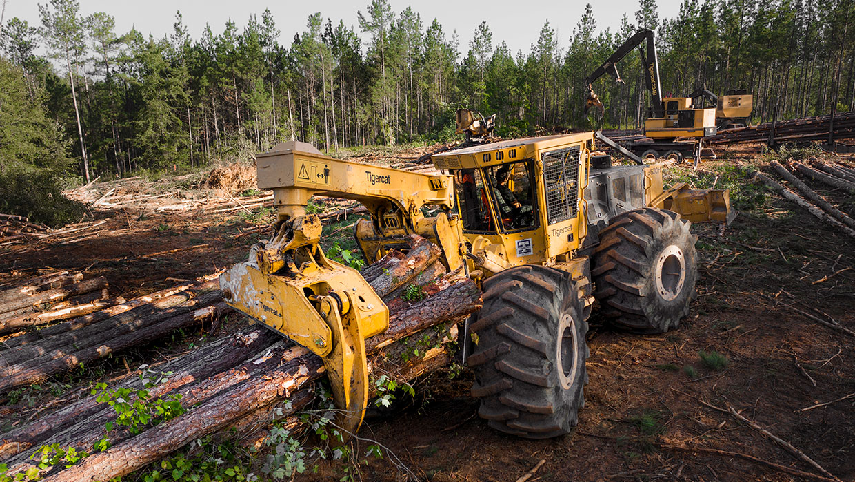 Image of a Tigercat 630H skidder working in the field