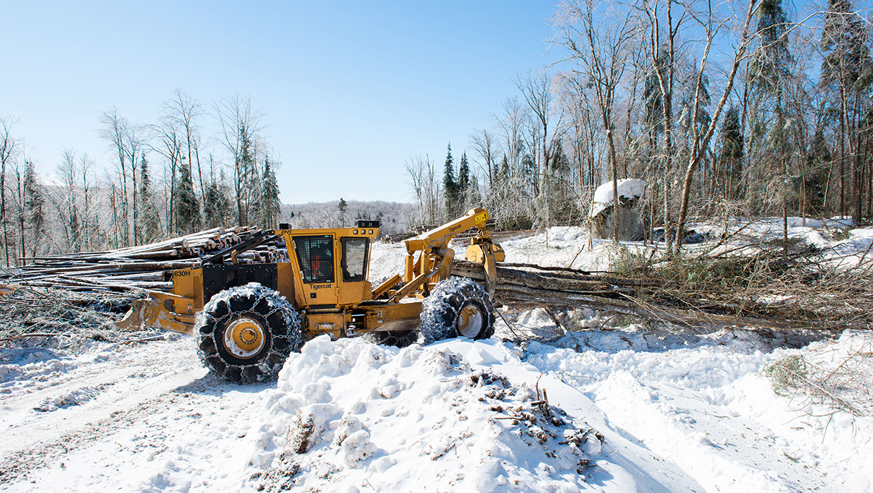 Image of a Tigercat 630H skidder working in the field