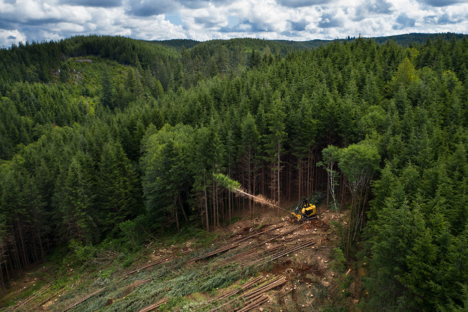 Adam Zepp operates the LX830D feller buncher.