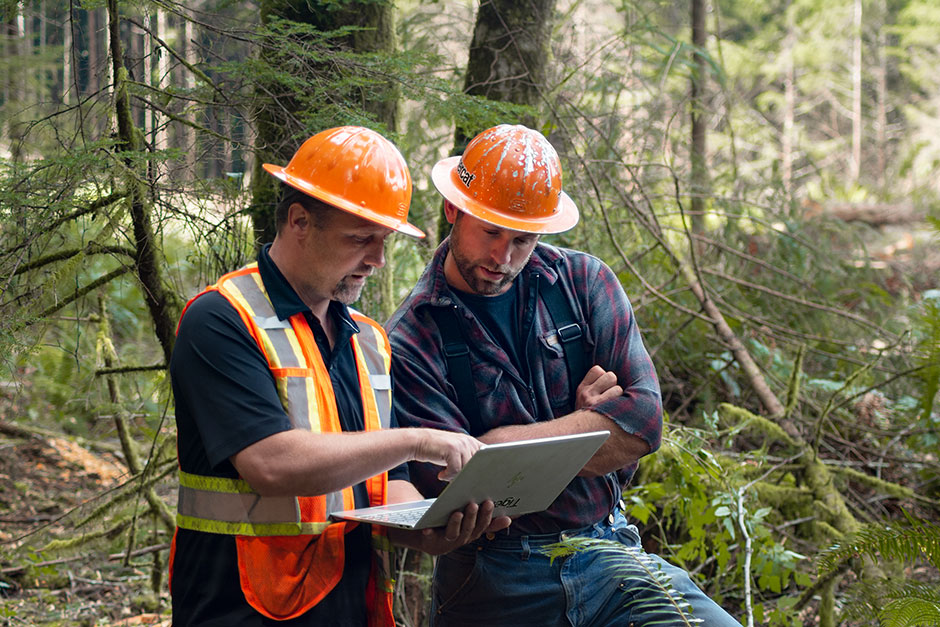 Adam conferring with a Tigercat representative and looking at a laptop in the forest.