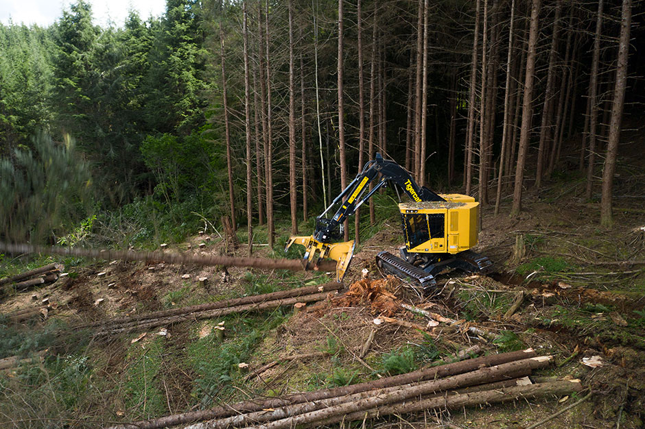 Une abatteuse-empileuse LX830D Tigercat abattant un arbre.