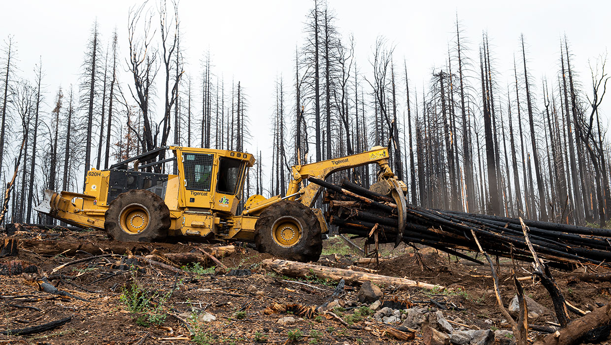 Image of a Tigercat 620H skidder working in the field