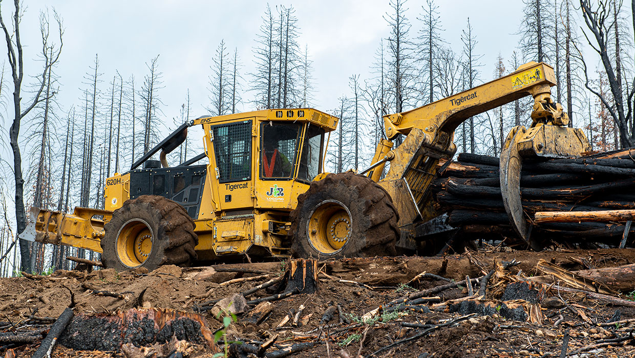 Image of a Tigercat 620H skidder working in the field