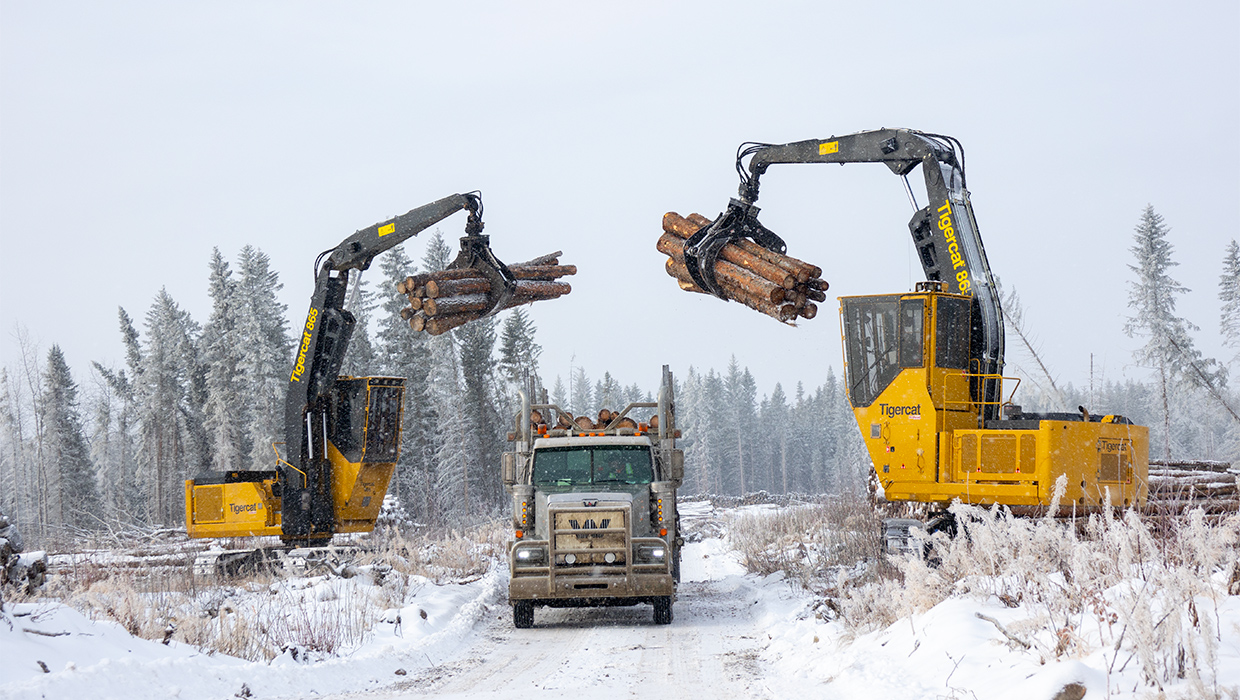 Deux loggers 865 de Tigercat en train de charger des camions