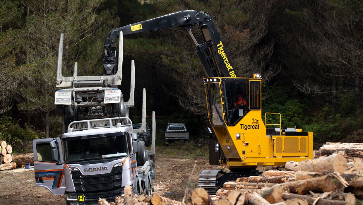 Image of a Tigercat 865 logger working in the field