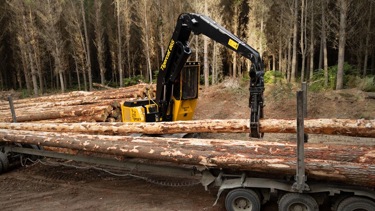 Image of a Tigercat 865 logger working in the field