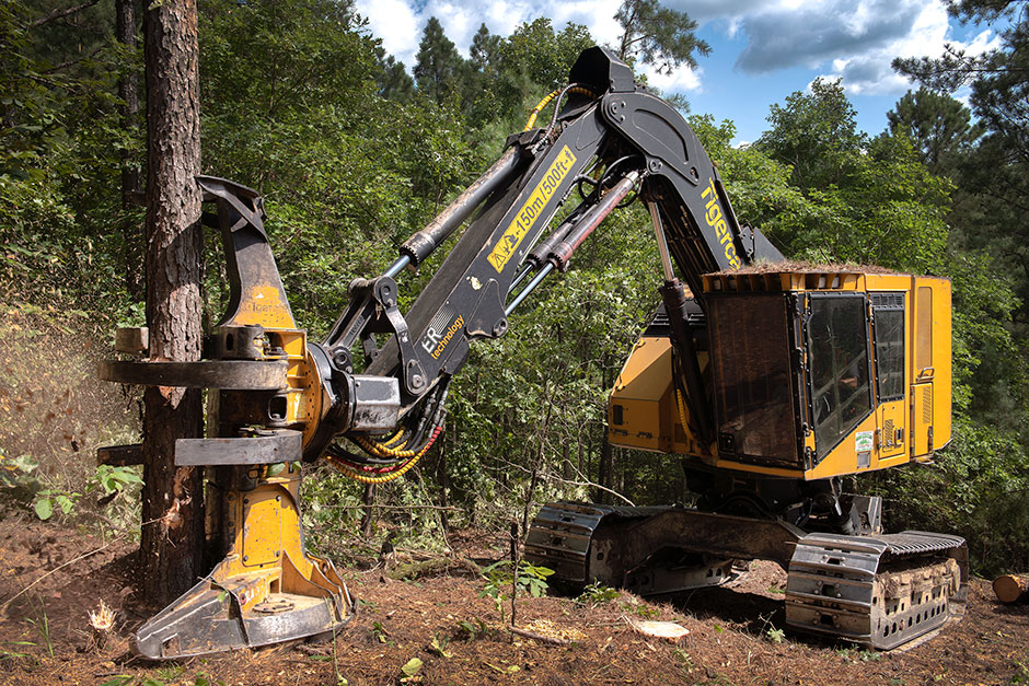 Une abatteuse-empileuse LX830D abattant un arbre