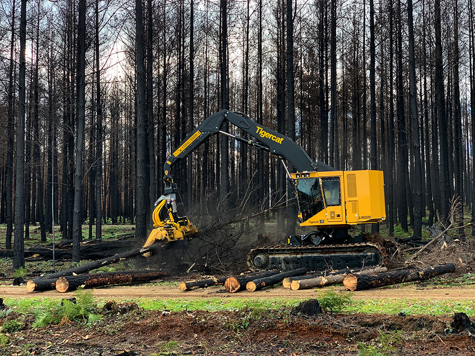 Машина Tigercat LH822D, оснащенная харвестерной головкой 575.