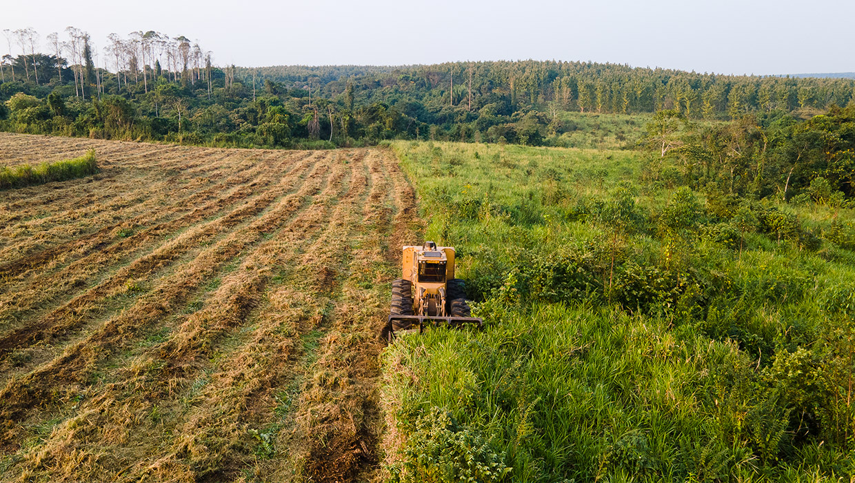 Image of a Tigercat 760B mulcher working in the field