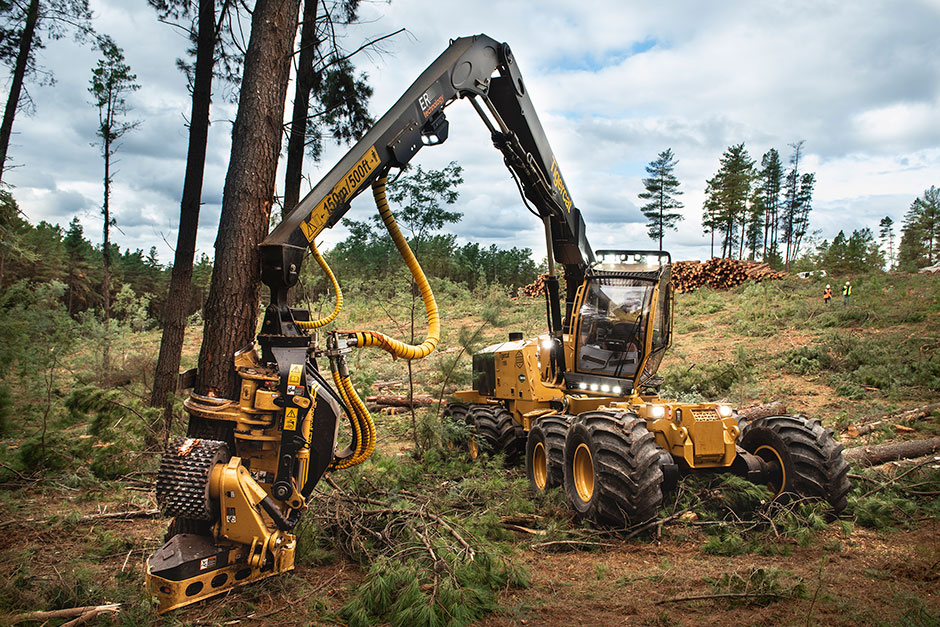 Harvester 1185 con cabezal 570 de Tigercat