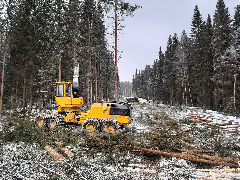 Skördaren 1165 med Tigercat-skotaren 1075C arbetar i bakgrunden.