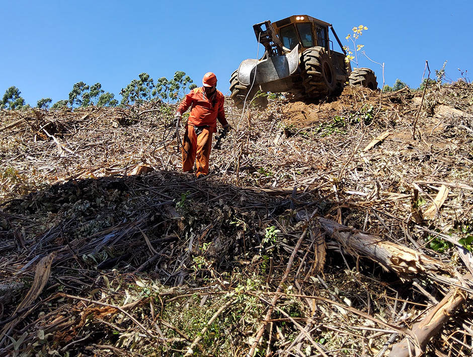 Un operador lleva un cable de skidder