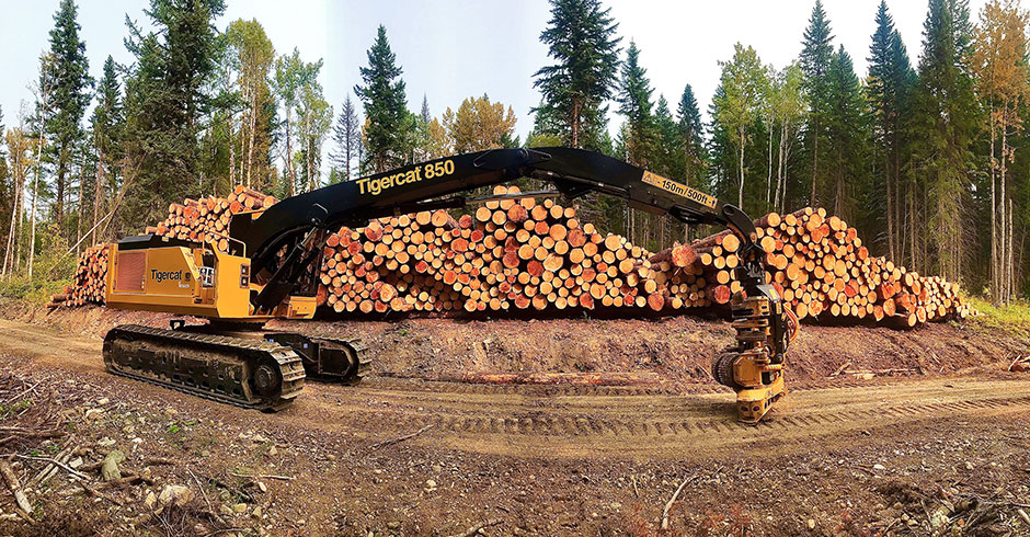 El procesador 850/568 que Rachel opera para Small Pine Logging.