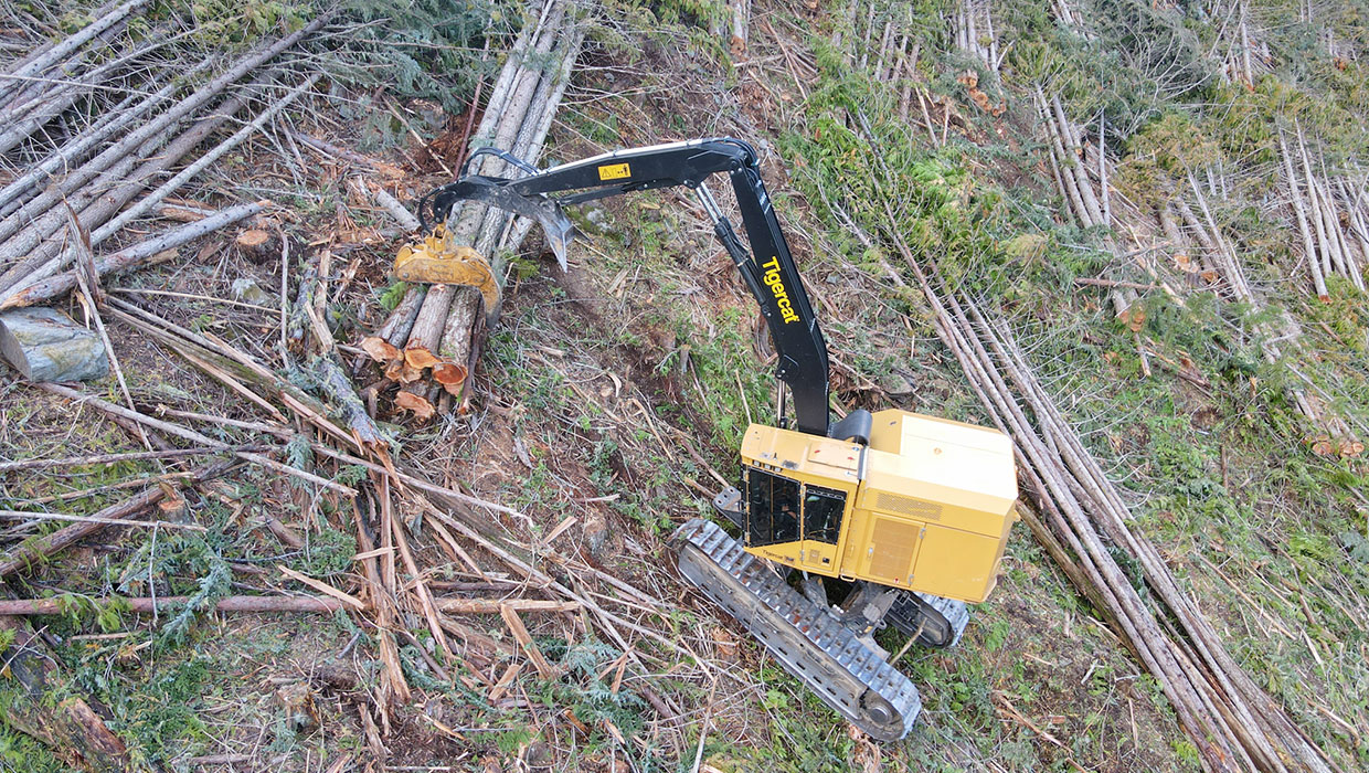 Image of a LSX870D shovel logger working in the field