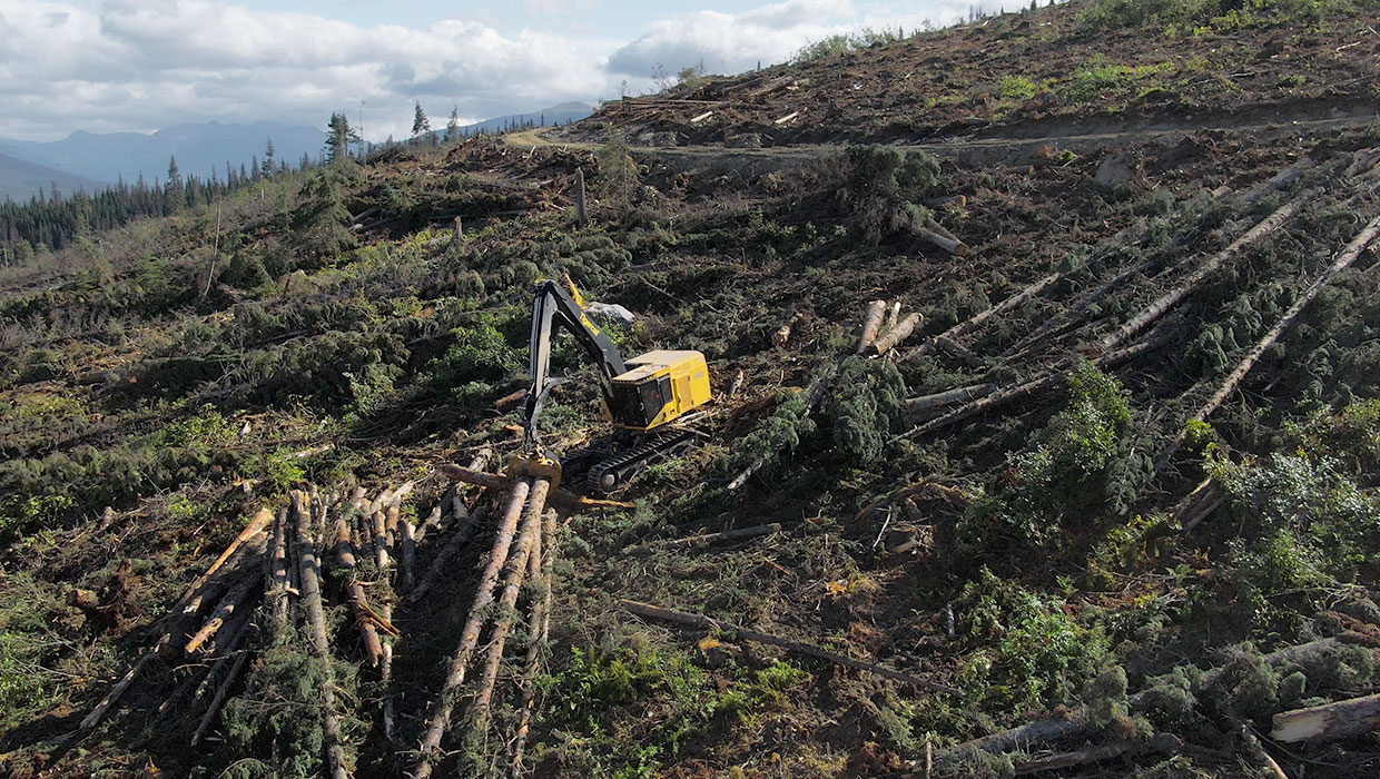 Image of a LSX870D shovel logger working in the field