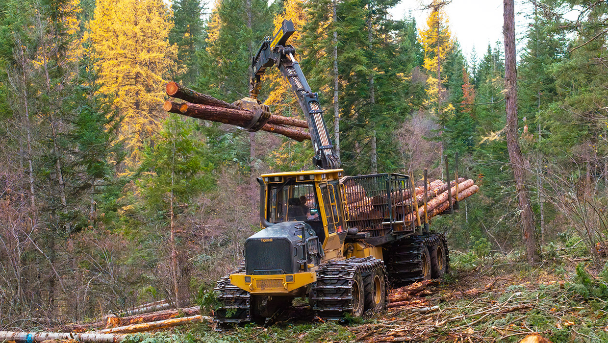 Image of a Tigercat 1085C forwarder working in the field