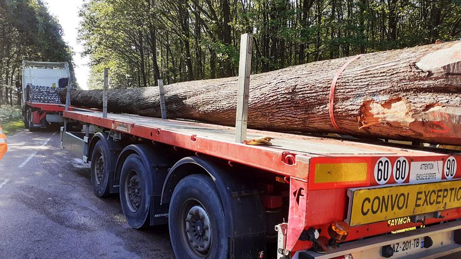 Log loaded with two cranes onto specially configured trailer