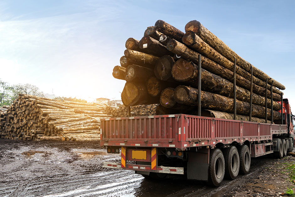 An image of a loaded log truck