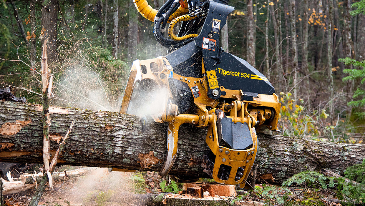 Tigercat 534 harvesting head