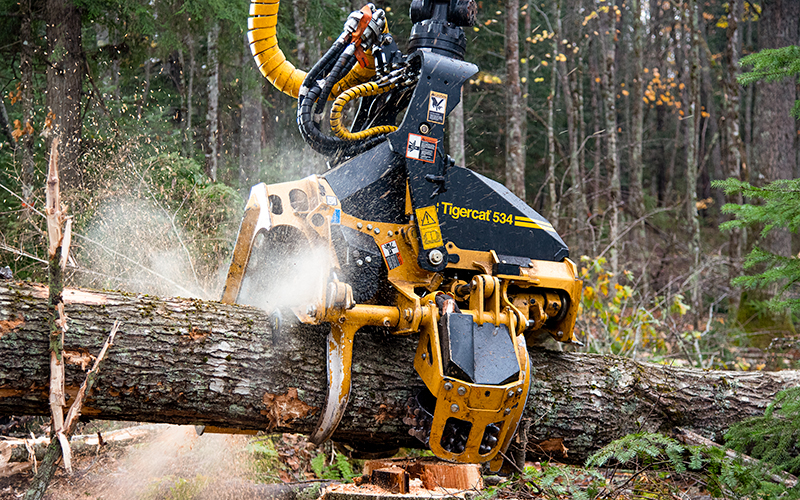 Tigercat 534 harvesting head featured