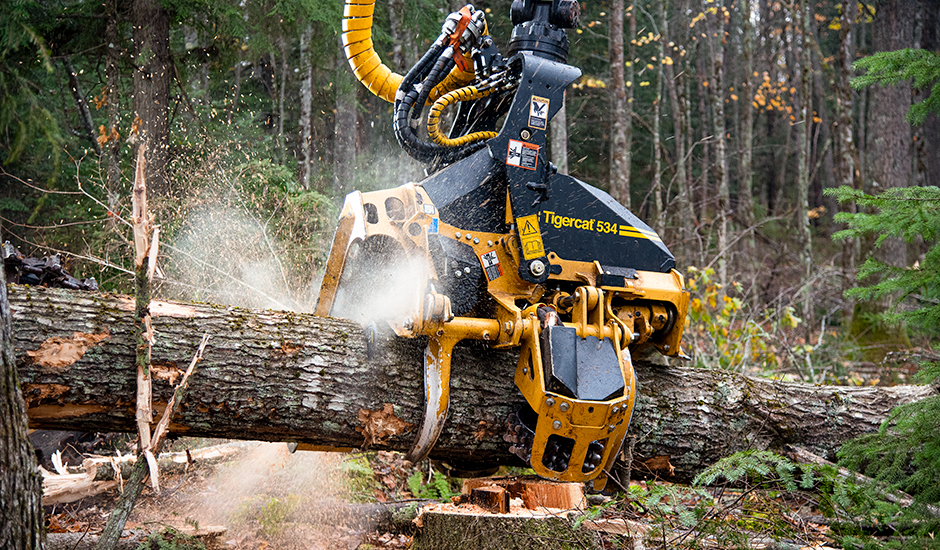 Tête d’abattage-ébranchage 534 Tigercat effectuant des coupes transversales