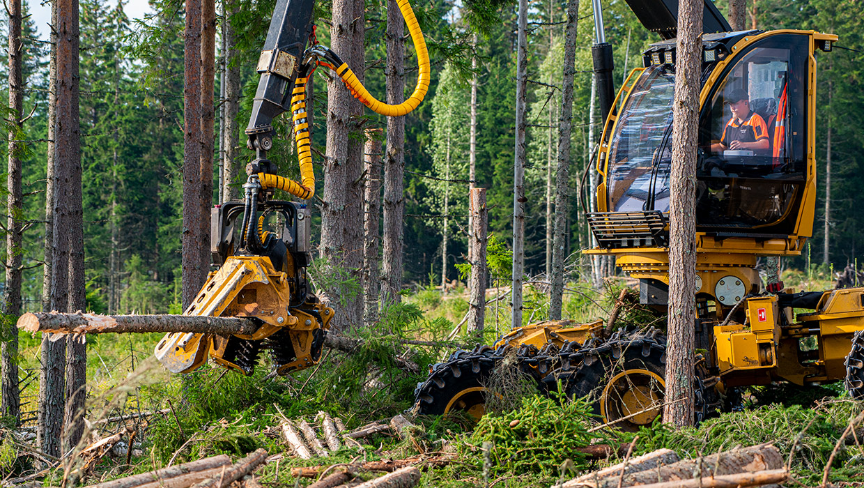 Tigercat 534 harvesting head