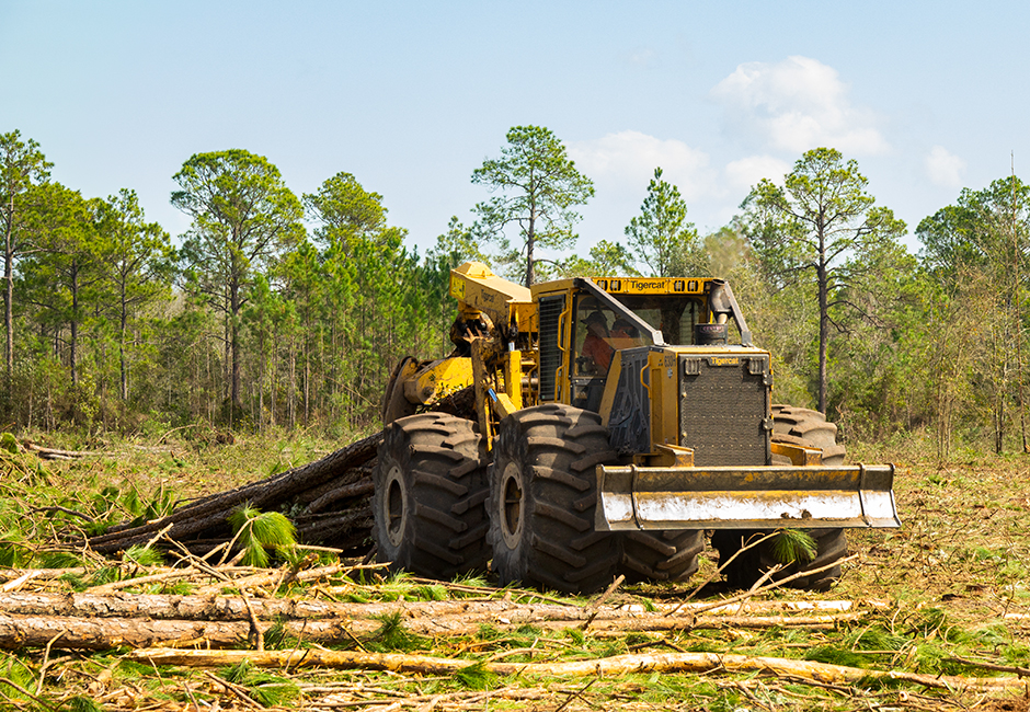 Tigercat skidder