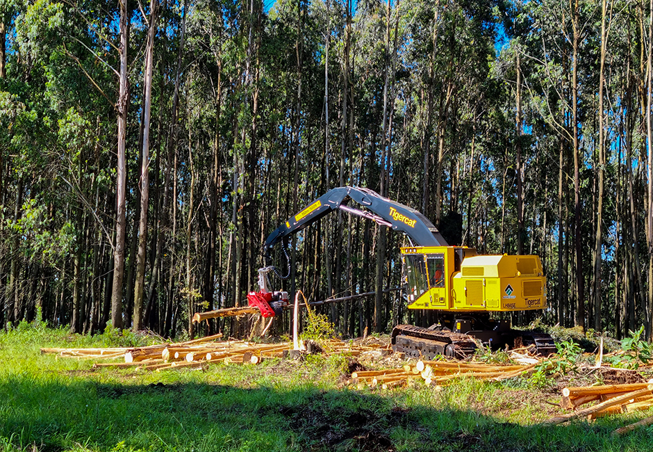 LH845E harvester in South African forest