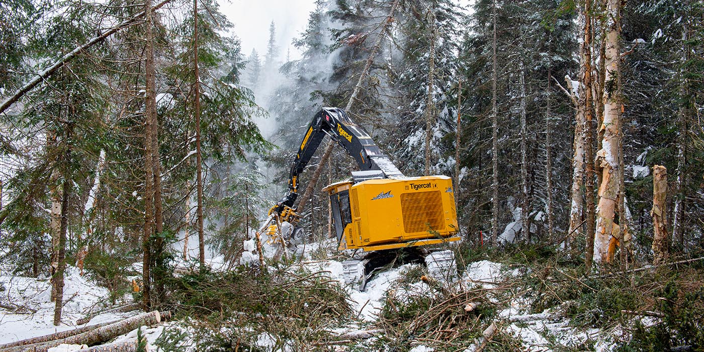 O harvester H822E equipado com o cabeçote de colheita 570 Tigercat em uma plataforma mista.