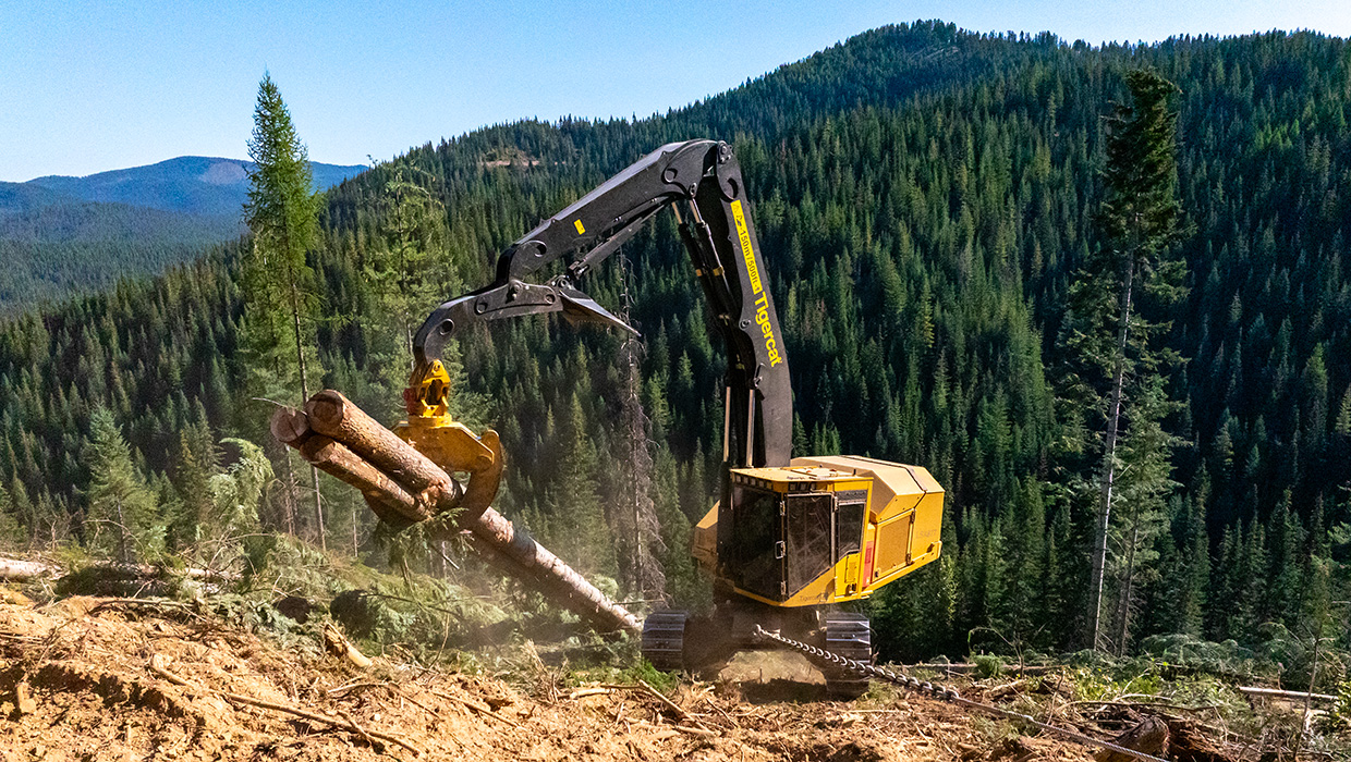 Field image of a Tigercat LSX877 shovel logger equipped with a BG13 grapple