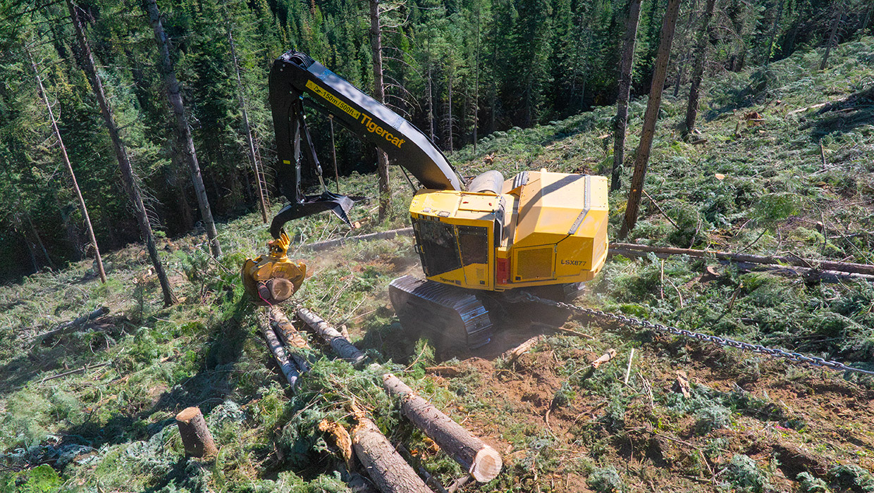 Tigercat BG13 grapple in the field