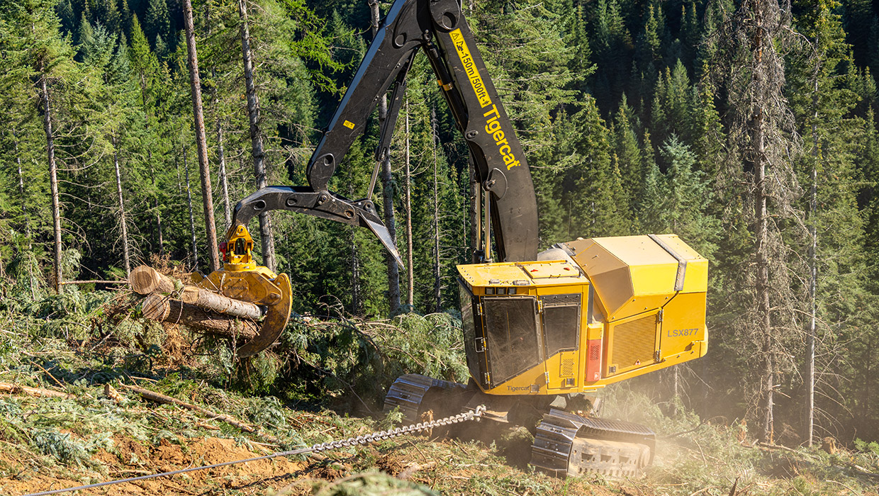 Tigercat BG13 grapple in the field