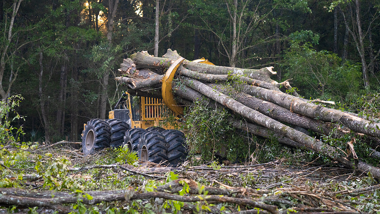 C640H clambunk skidder moving a load