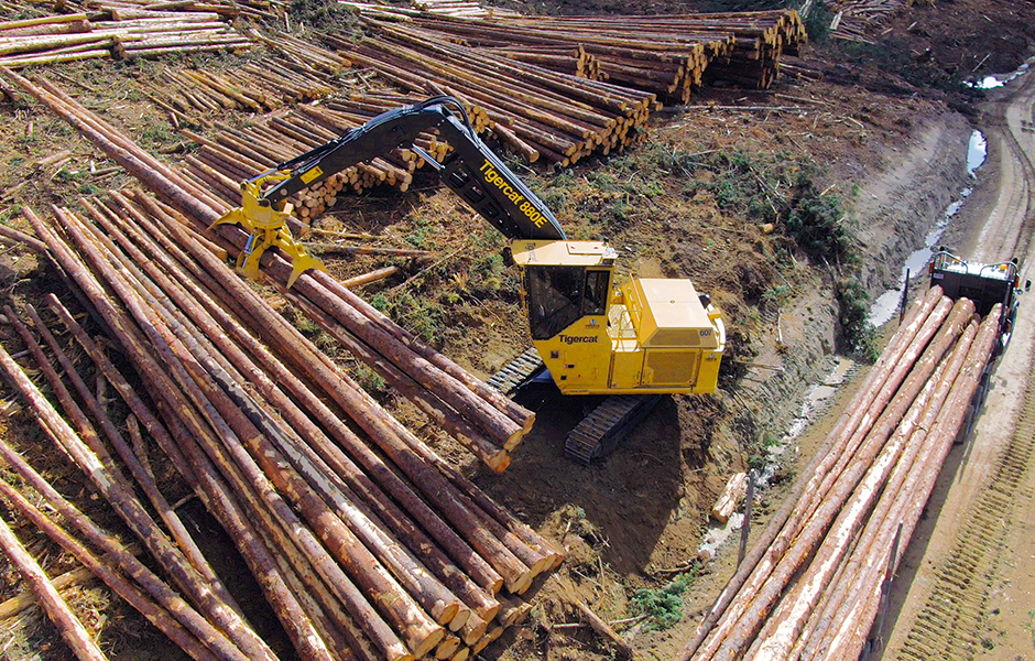 Photo of the 880E logger equipped with the BT08 grapple loading timber near Fort St. James, British Columbia.