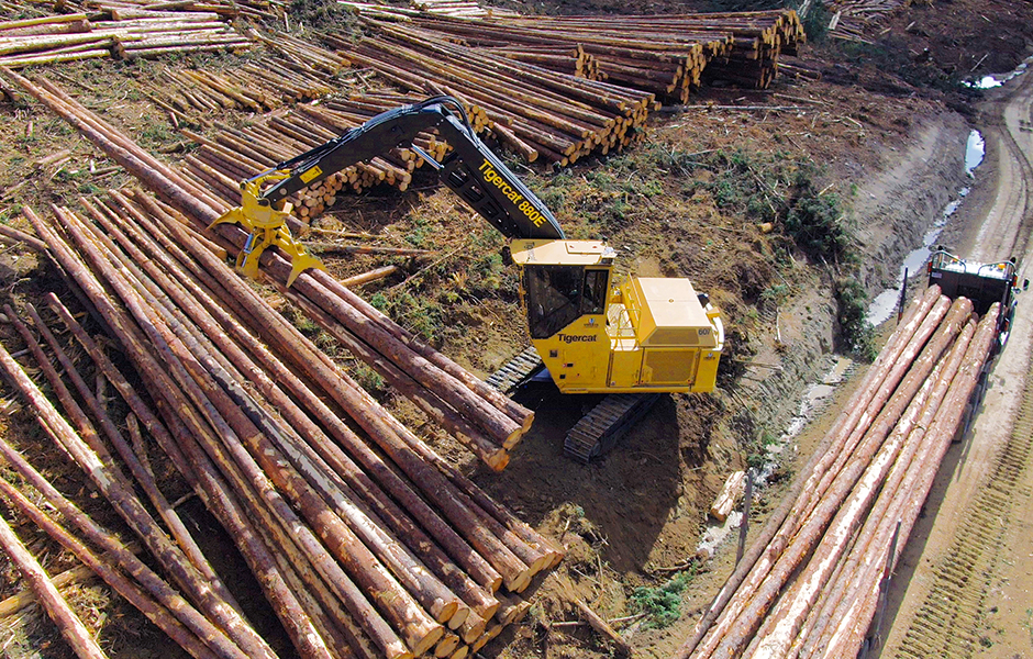 Foto del logger 880E equipado con la garra BT08 cargando madera cerca de Fort St. James, en Columbia Británica.