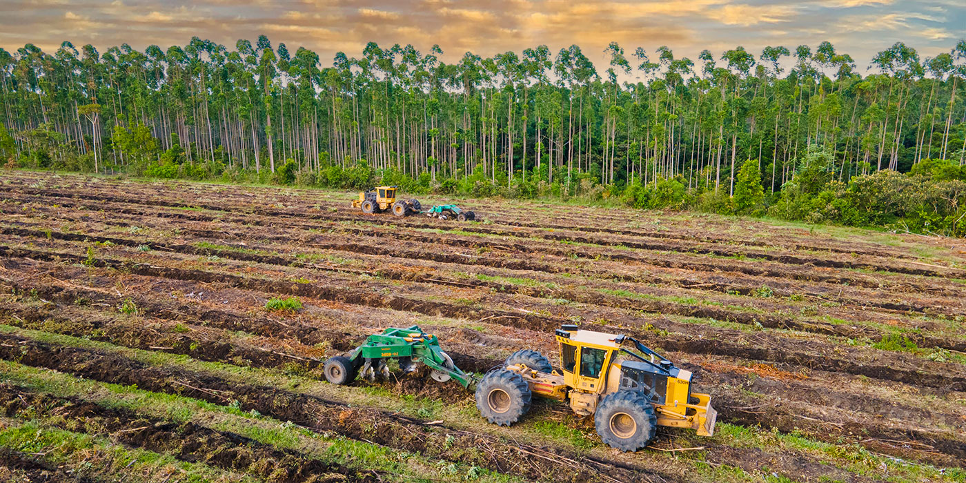 Photo of the cut blocks, the plow mounds the soil and remaining material, preparing planting beds up to 45 cm (18 in) above ground level. The single swept shank subsoils to depths of 40-50 cm (15 to 19 in).