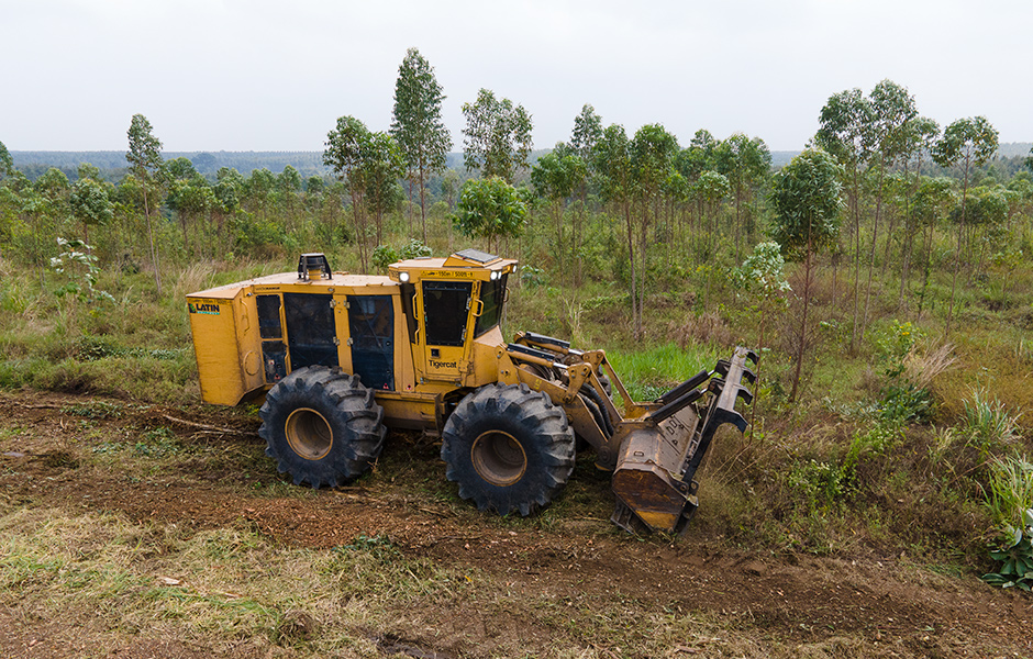 Photo of the 760B mulcher with the 4061-30 mulching head efficiently shreds the logging residue, branches, stumps, and any remaining undergrowth. The machine is demonstrationg solid performance and production results.