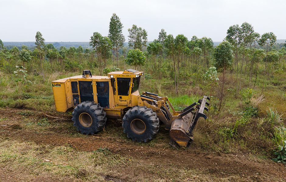 Foto do mulcher 760B com cabeçote de mulcher 4061-30 triturando com eficiência resíduos madeireiros, galhos, tocos e qualquer vegetação rasteira remanescente. A máquina está demonstrando sólidos resultados de desempenho e produção.