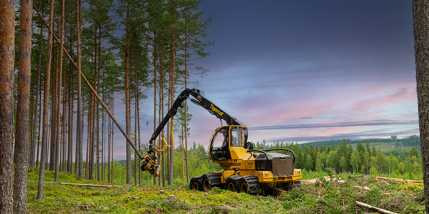 Photo of a Tigercat 1165 Harvester Equipped with the 534 Harvesting Head