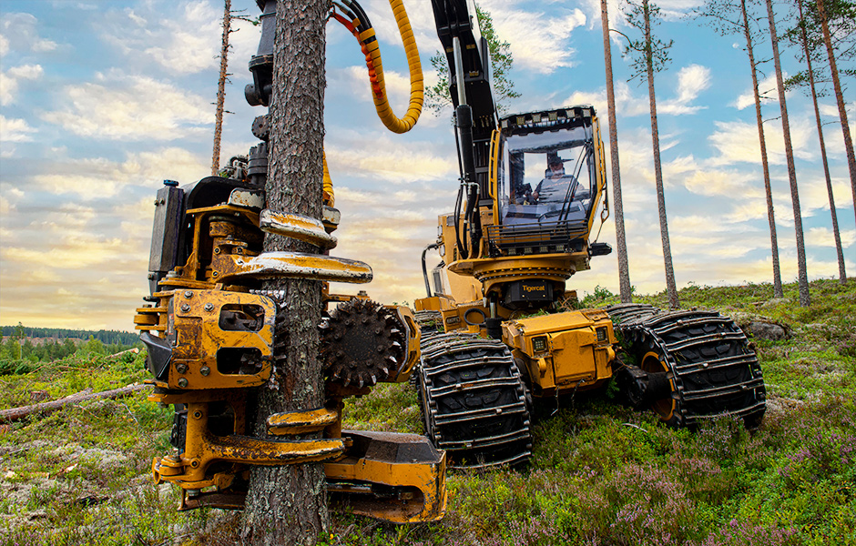 Photo de la première tête d'abattage-ébranchage 534 Tigercat en Suède.