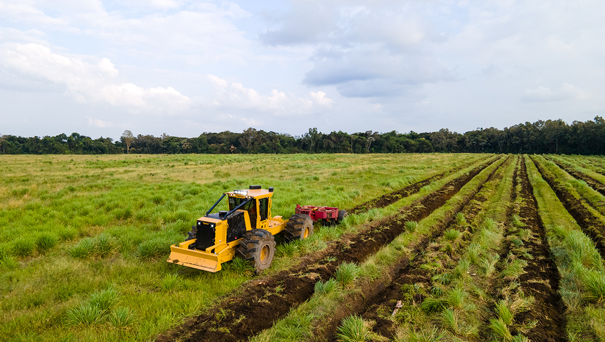 Image of a 630H silviculture carrier working in Mexico