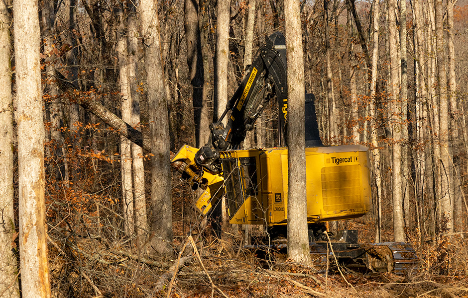 The 5185 directional felling saw maintains excellent control of the high value timber.