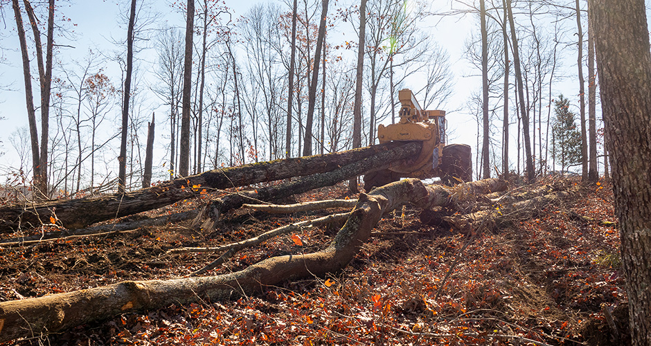 Tigercat skidder