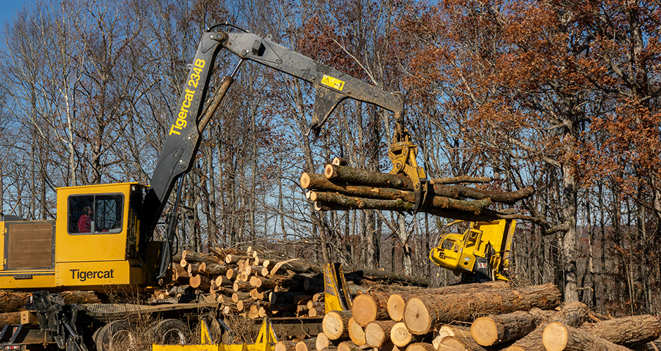 Tigercat 234B loading hardwood.