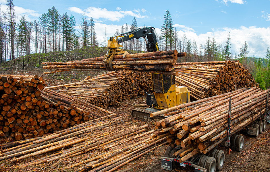 El Logger 875E con garra tipo almeja de alta potencia carga camiones que se dirigen al botadero.