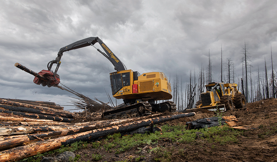 Tigercat machines in fire salvage operation.